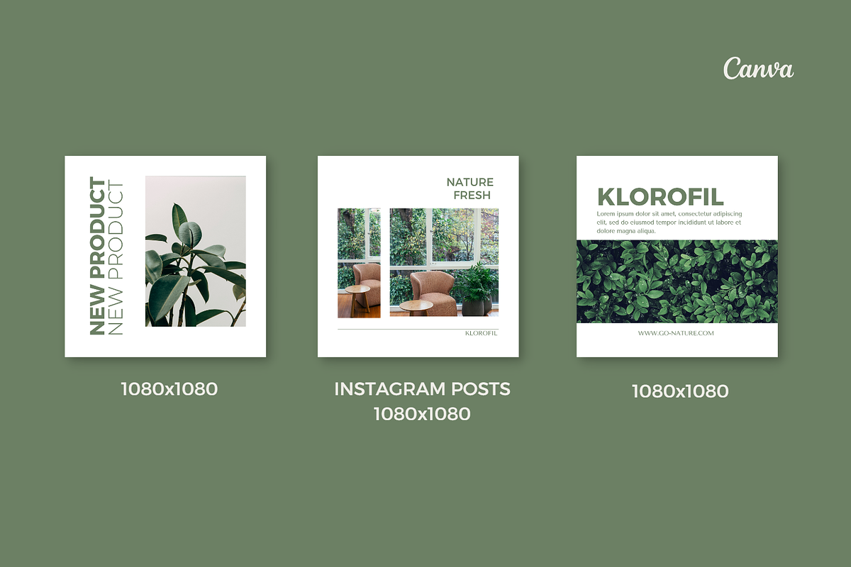 Sage Green Canva Template, a Social Media Template by Moodwave Studio (Photo 5 of 10)