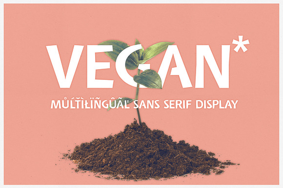 Vegan | sans serif display font preview 7