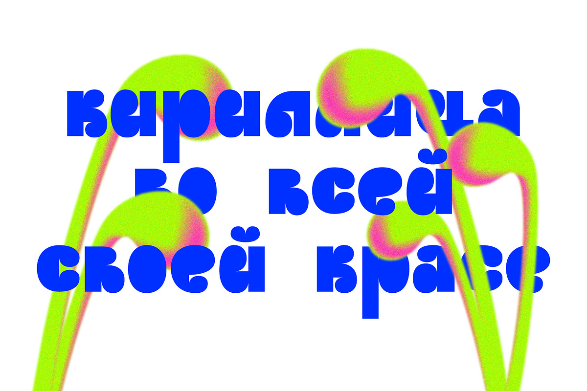 SK Parnik — Soft Playful Typeface, a Font by Shriftovik Type Foundry (Photo 8 of 14)