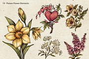 Poison Garden Witchcraft Clipart, an Object Illustration by Belusuab (Thumbnail 5 of 16)