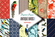 Digital paper antique birds 1, a Pattern Graphic by JAY MID IMAGE (Thumbnail 3 of 5)