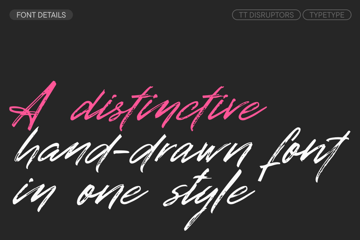 TT Disruptors, a Script Font by TypeType (Photo 3 of 12)