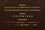 Ahuta, a Serif Font by twinstd (Thumbnail 11 of 12)