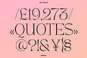 TAN - PARFAIT, a Serif Font by TanType (Thumbnail 14 of 21)