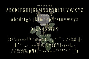 LT Serif - Modern Serif Font