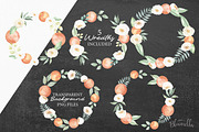 Orange Blossom 35 Watercolor Package, an Object Graphic by Bloomella (Thumbnail 4 of 6)
