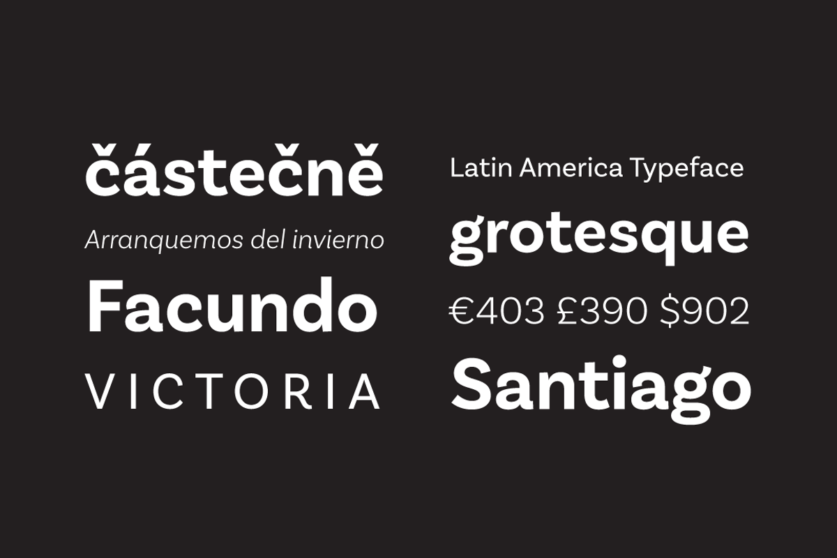 Basic Sans, a Sans Serif Font by Latinotype (Photo 2 of 10)