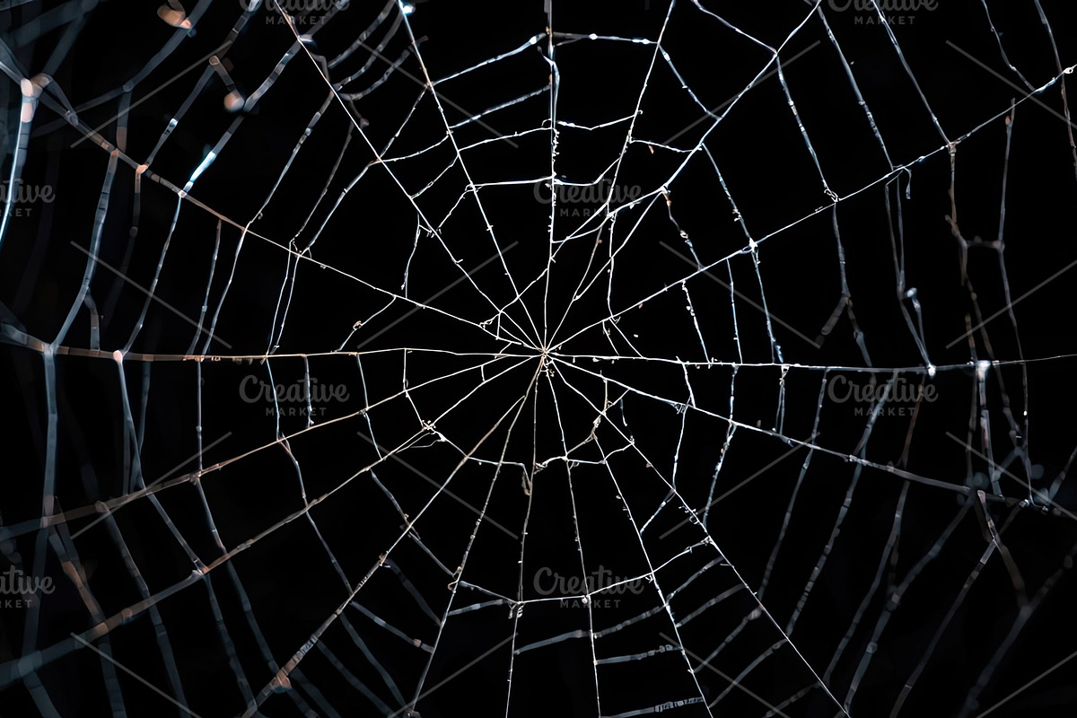 Spider Web Overlay Bundle, a Background Photo by M9 Design (Photo 10 of 10)
