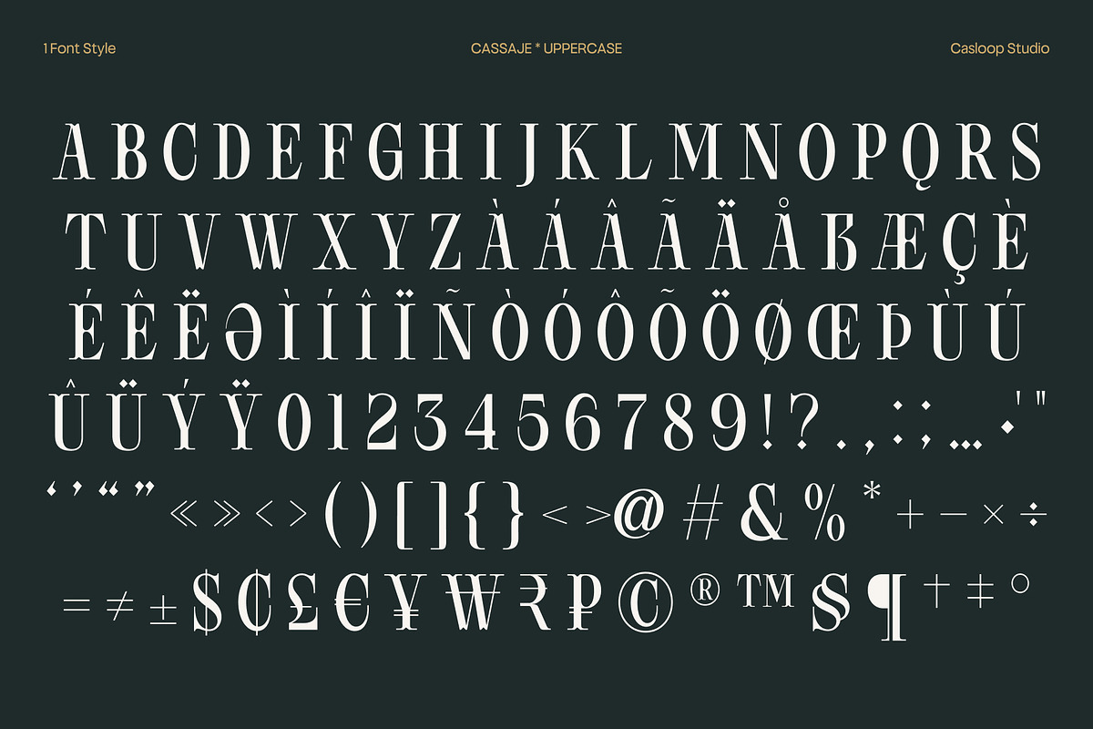 Cassaje – One Case Endless Presence, a Serif Font by Casloop Studio (Photo 6 of 10)