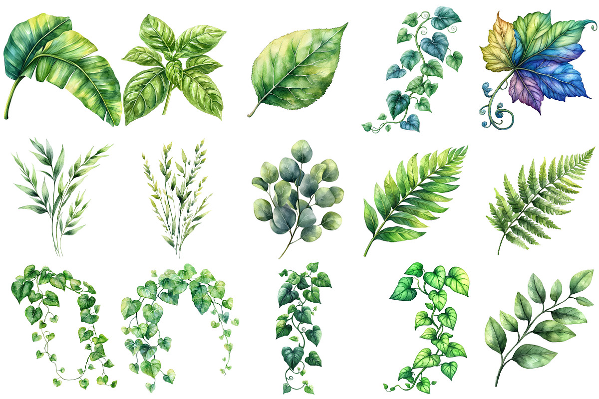 Green Summer Foliage Clipart, an Illustration by Watercolor design (Photo 2 of 10)