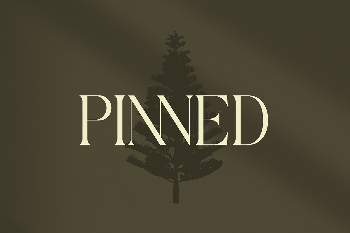 Qaisar Elegant Modern Serif, a Serif Font by timelesstype.co (Photo 6 of 20)