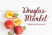 Rosita script - stylish brush font, a Script Font by Astarte_design (Thumbnail 6 of 12)