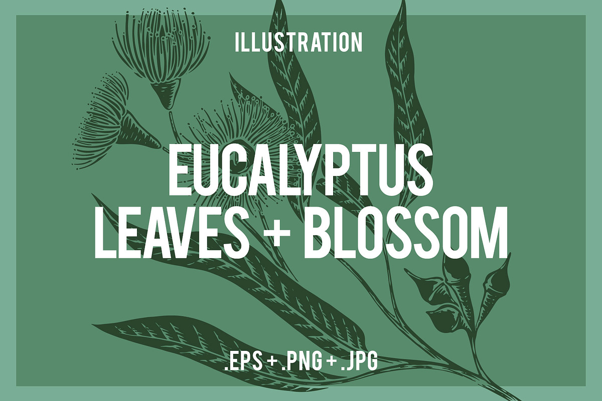 Eucalyptus Leaves & Blossom, an Animal Illustration by Electric Ink (Photo 1 of 3)