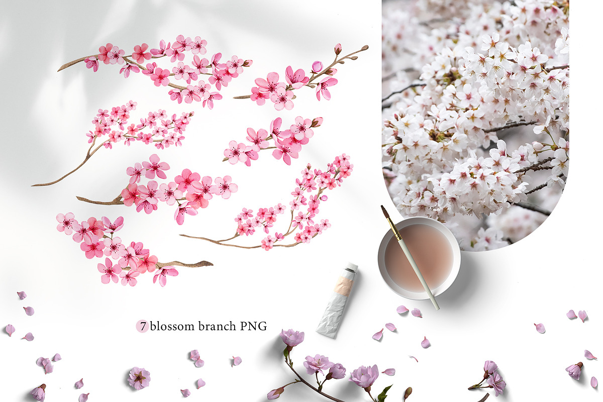 Cherry blossom watercolor clipart, an Illustration by Color Hugs Art (Photo 3 of 8)