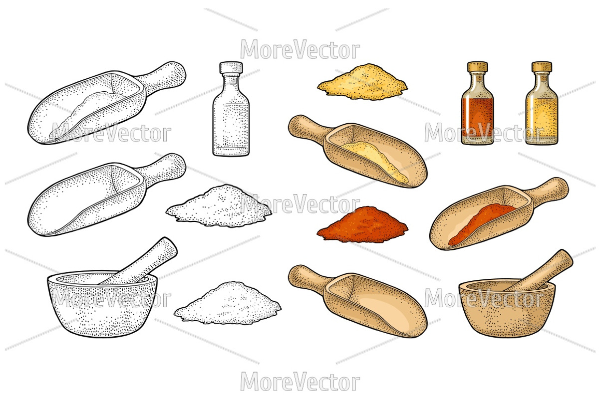 Set of Spices. Engraving, a Food Illustration by MoreVector (Photo 2 of 3)