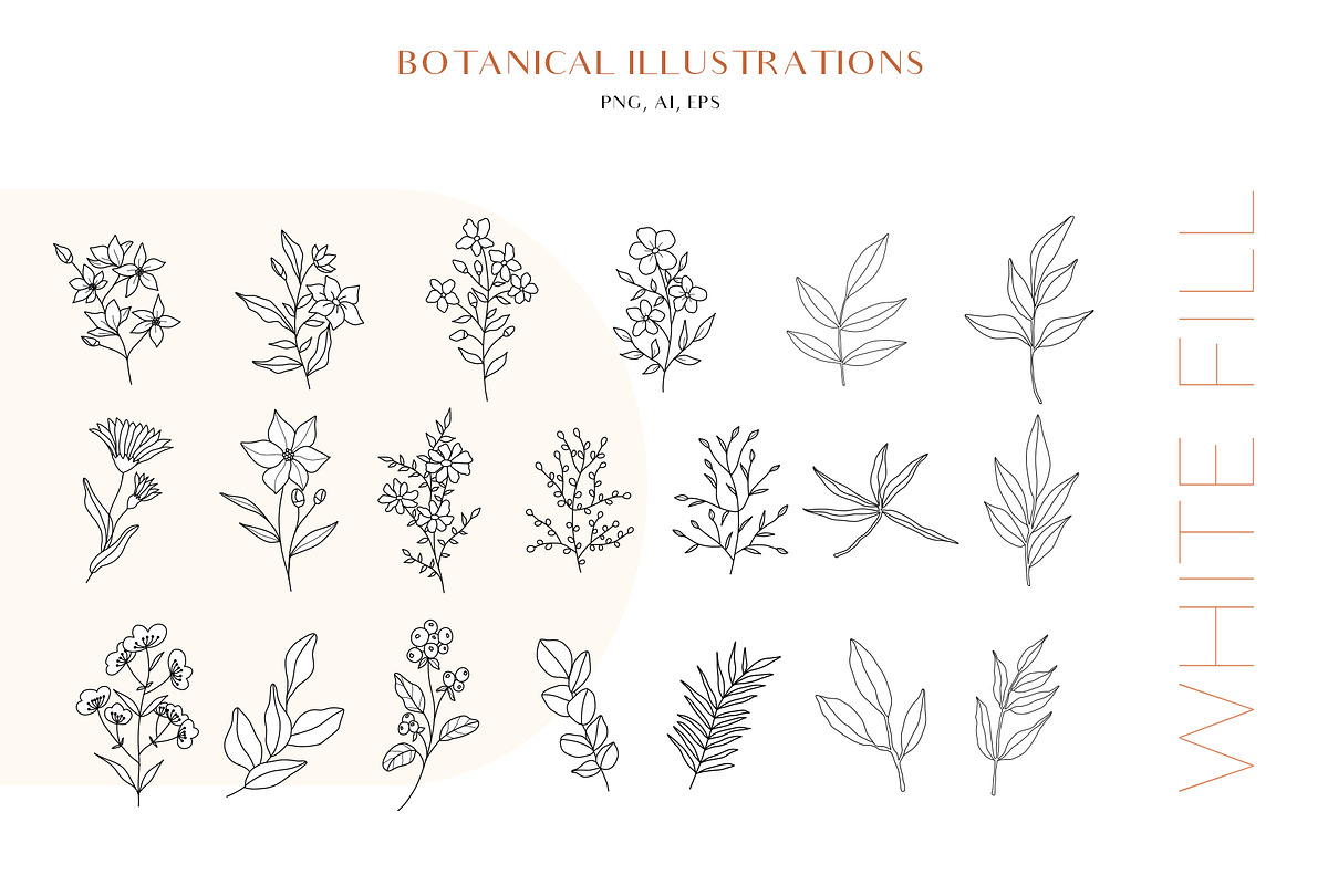 Wildflowers Botanical Line Art, an Illustration by Kaya Fonts (Photo 8 of 18)