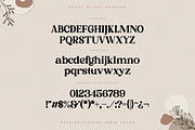 Monte Blance - Vintage Stylish Serif, a Serif Font by TypeFounder (Thumbnail 10 of 10)
