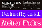 Magdes Modern Display Serif Font, a Serif Font by timelesstype.co (Thumbnail 6 of 15)