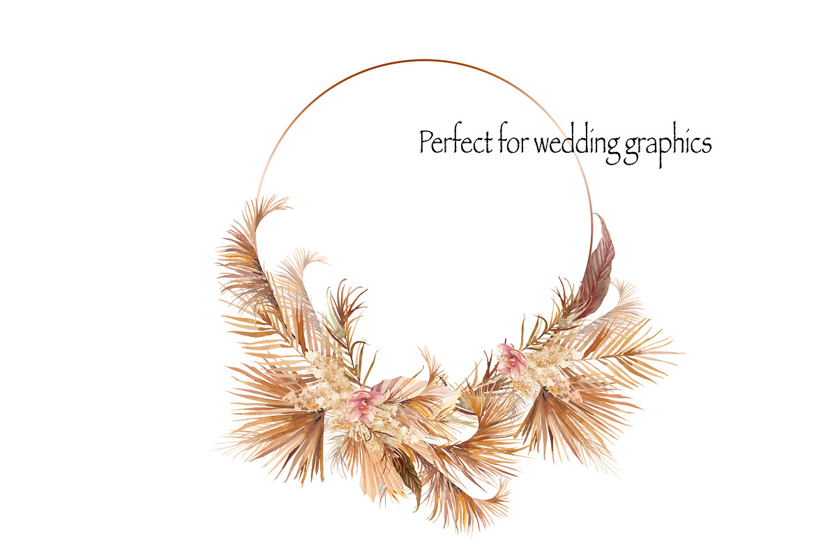 DESERT PLANTS, an Illustration by Eisfrei (Photo 5 of 10)