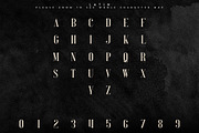 Perfectly Splendid Typeface - 5 font, a Serif Font by VP Fonts (Thumbnail 8 of 9)