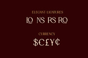 Saint Paris - Elegant Serif Typeface, a Serif Font by AN Productions (Thumbnail 6 of 9)
