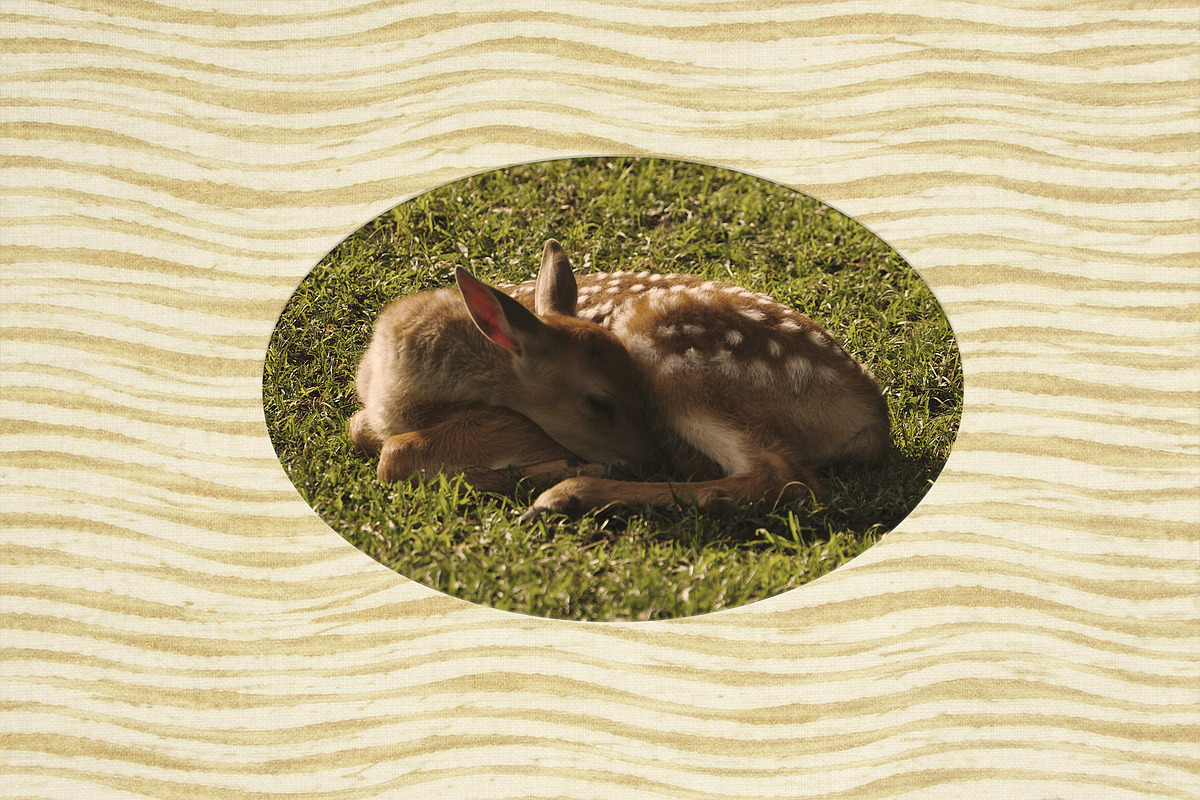 Print Language Vol.2 Textile & Dye, a Background Graphic by Lidberia (Photo 6 of 9)