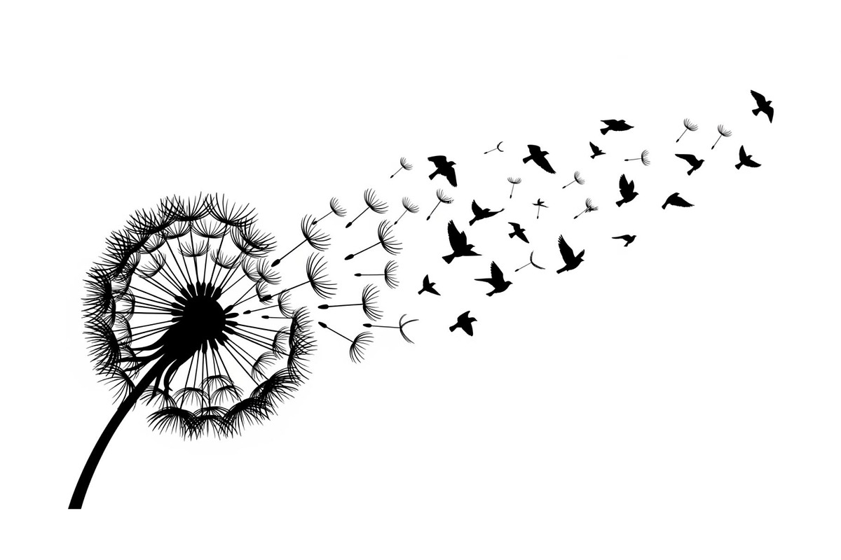 Dandelion Blow Silhouette Bundle, an Illustration by yasushie (Photo 30 of 31)