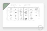 Succulent Procreate Stamps + PNG, a Brush Add-On by SorrDesign (Thumbnail 2 of 5)