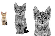 Dog Photo to Tracing Action, an Action Add-On by Photoshop Action (Thumbnail 9 of 10)