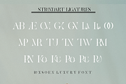 Raxsoen Luxury Serif Display, a Serif Font by LuhopCreative (Thumbnail 10 of 12)
