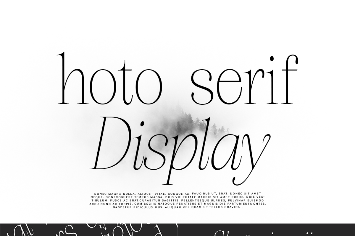 hoto serif display, a Serif Font by InkwellTypeCo (Photo 8 of 9)
