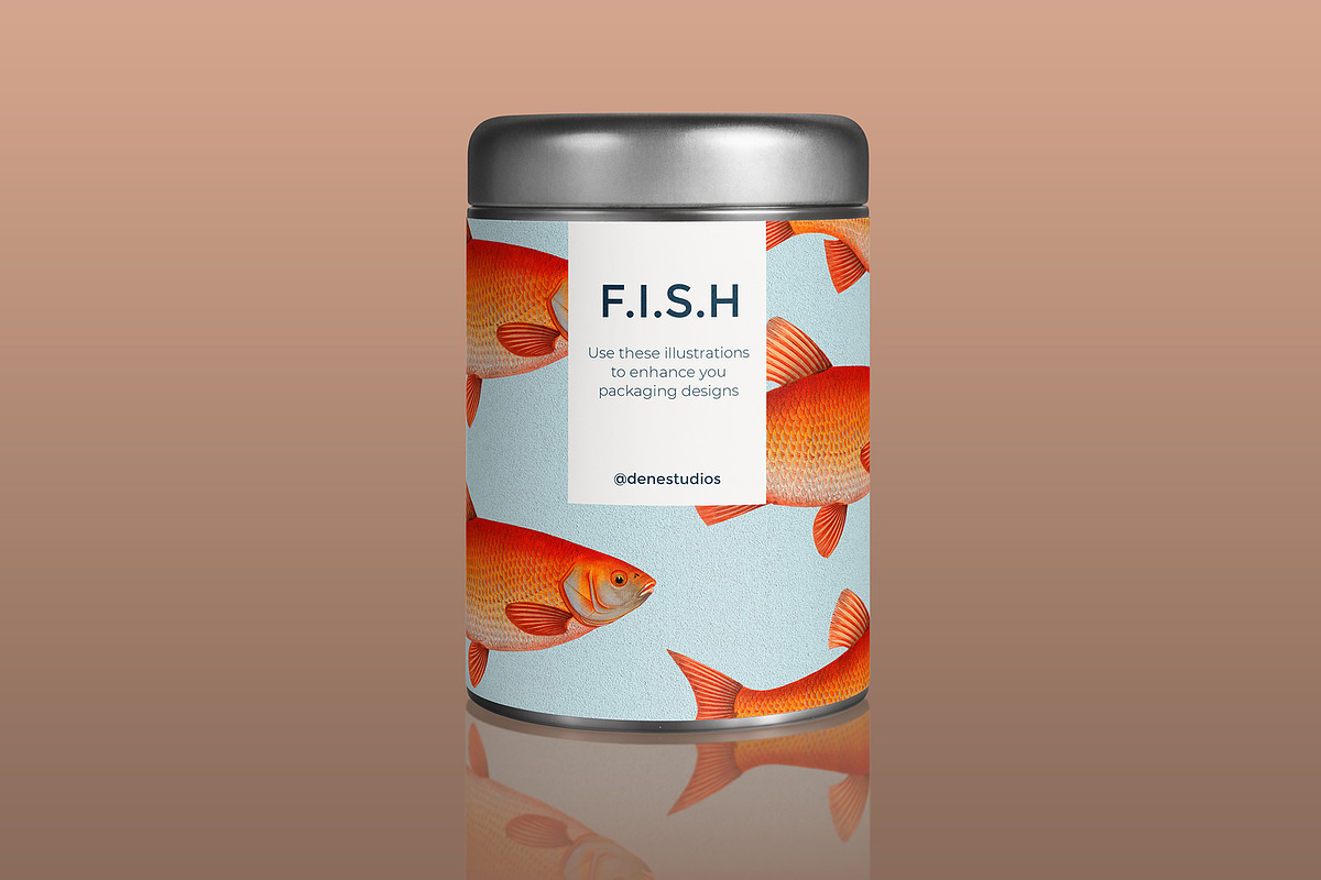 500+ Vintage Fish Illustrations, an Illustration by Dene Studios (Photo 3 of 15)