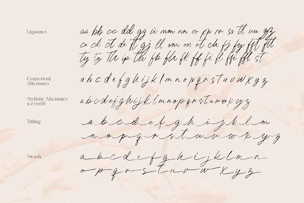 Fortune Happiest - Script Serif Duo, a Script Font by Letteratom (Photo 11 of 12)