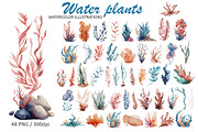 Water Plants Seaweed Clipart, an Object Illustration by Evgeniia (Thumbnail 1 of 5)