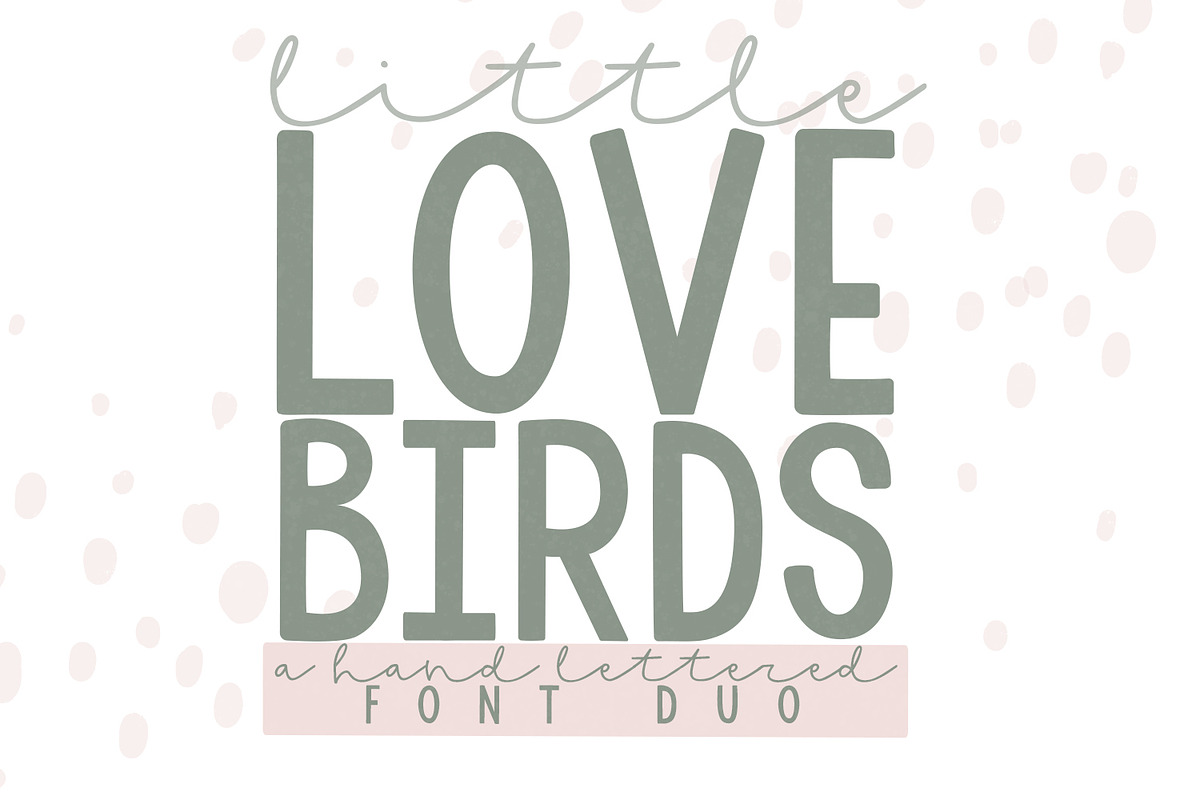 Little Love Birds Font Duo, a Script Font by Dansie Design (Photo 1 of 7)