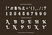 Norvane Decorative Serif Font, a Serif Font by Vadovastd (Thumbnail 3 of 9)