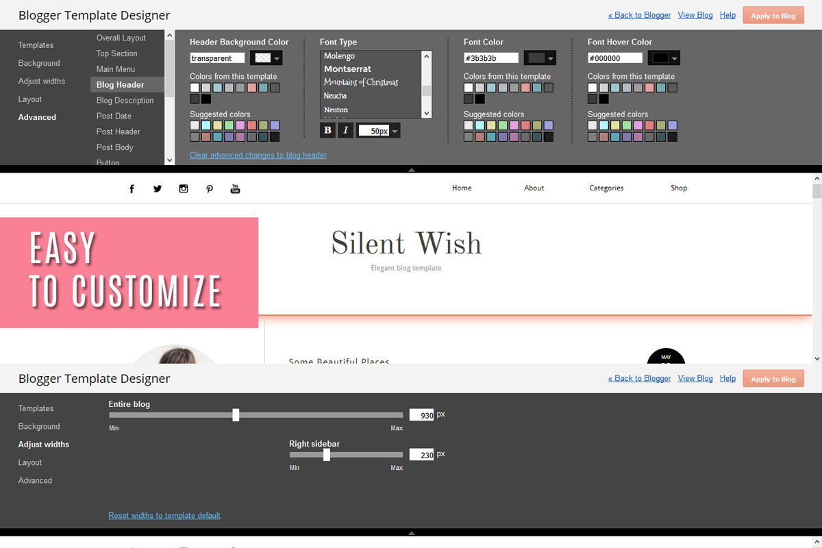 Blogger Template - Silent Wish, a Websites & App Template by Vefio Themes (Photo 5 of 5)