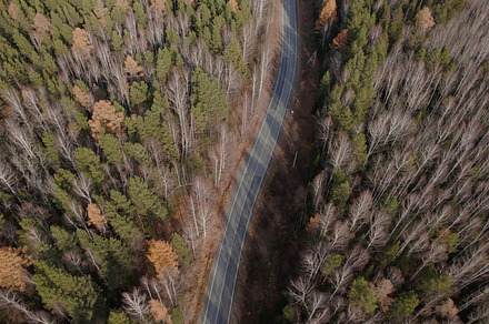 Road between autumn forest in Ural