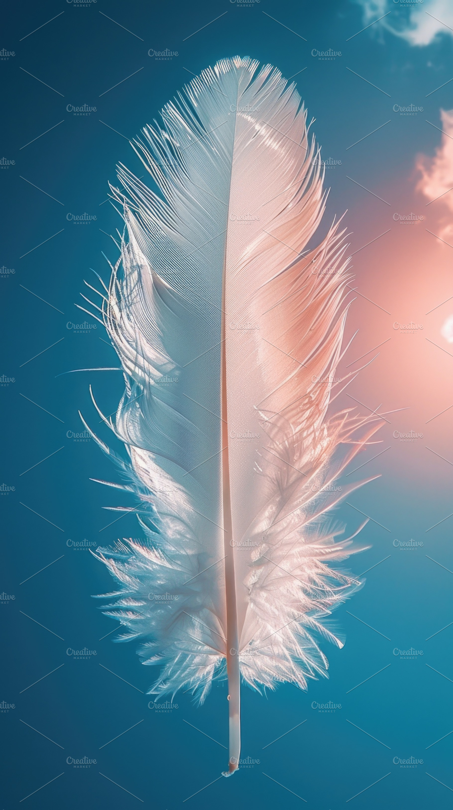 White feather floating against blue sky with soft sunlight and a, a Nature Photo by José Manuel Gelpi
