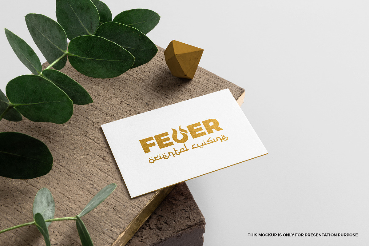 Feuer logo, a Branding & Logo Template by MuzaInspires (Photo 4 of 4)