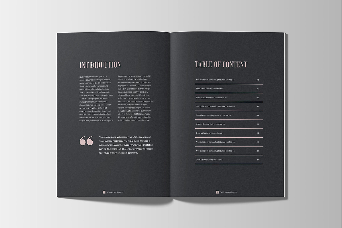 Luxury Lookbook Magazine, a Magazine Template by Layout Design (Photo 2 of 10)
