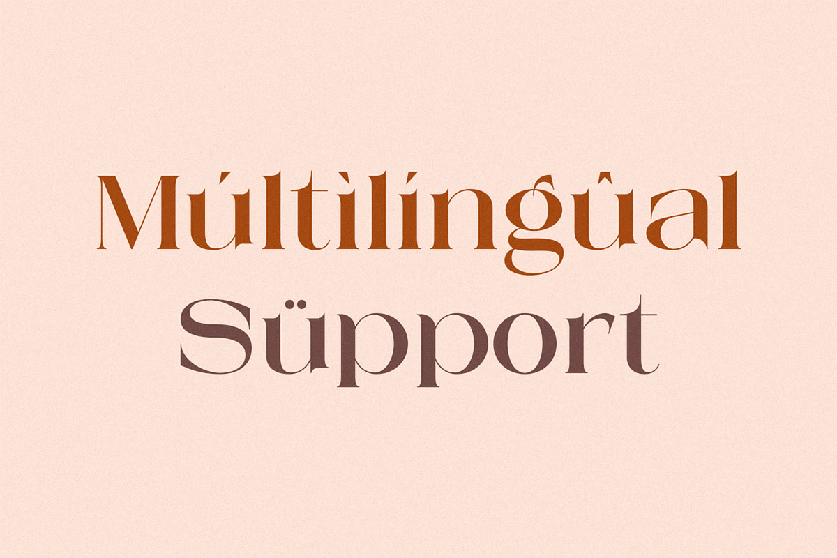 Mestro Serif || Modern Ligature, a Serif Font by ToniStudio (Photo 10 of 10)