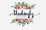 Blushingly Typeface, a Script Font by Creativeqube Design (Thumbnail 1 of 5)