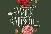 Palisade Display Font, a Serif Font by Sans & Sons (Thumbnail 3 of 10)