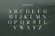 Megarow, a Serif Font by Rishsketch (Thumbnail 8 of 13)