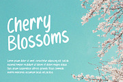 MARLONA - Playful Handwritten Font, a Symbol Font by NTC Graphic (Thumbnail 4 of 7)