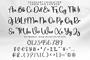 Winterland, a Handwritten Font by InermediaSTUDIO (Thumbnail 8 of 8)