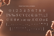 Madalino - Modern Beauty Luxury Font, a Serif Font by Sensatype (Thumbnail 10 of 12)