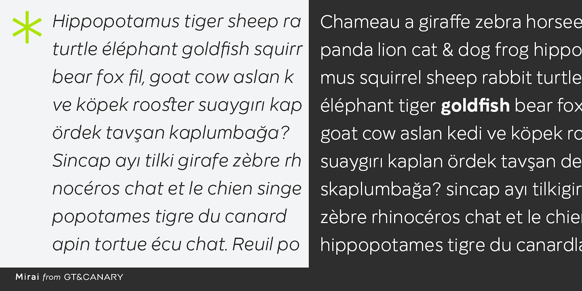 Mirai, a Sans Serif Font by GT&CANARY (Photo 4 of 7)