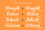 Sang Ratu - Vintage Script Font, a Script Font by StringLabs (Thumbnail 2 of 11)
